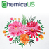 Chemica HotMark Print - Printable Heat Transfer Vinyl