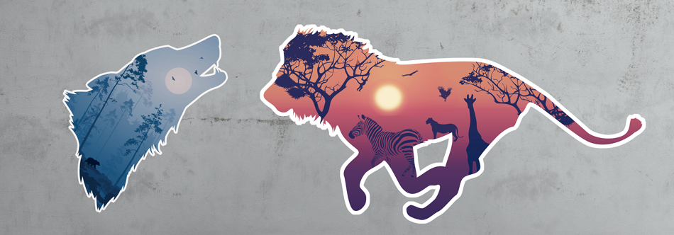 printed wall graphics.